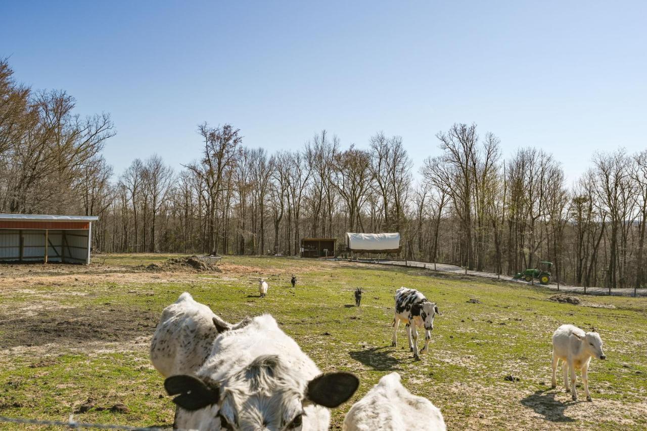 Ultimate Covered Wagon Pioneers Paradise Brownsville Exterior photo